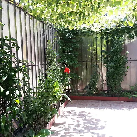 Appartement Banu Manta