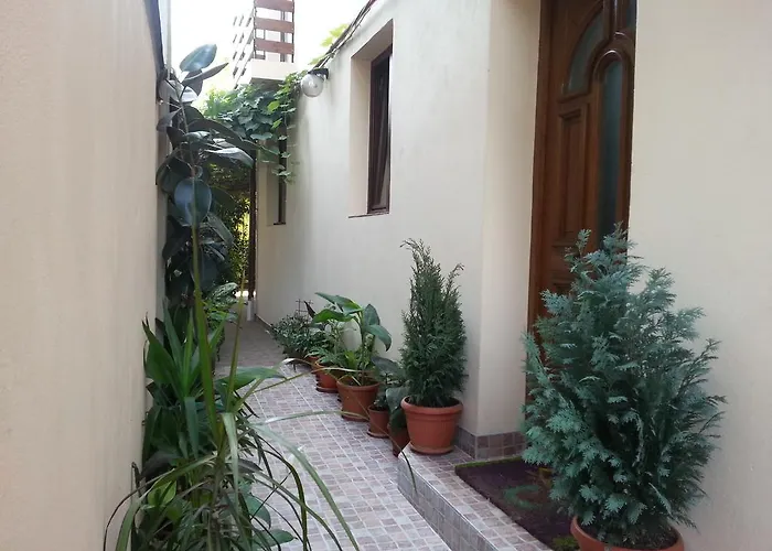 Banu Manta Διαμέρισμα Βουκουρέστι