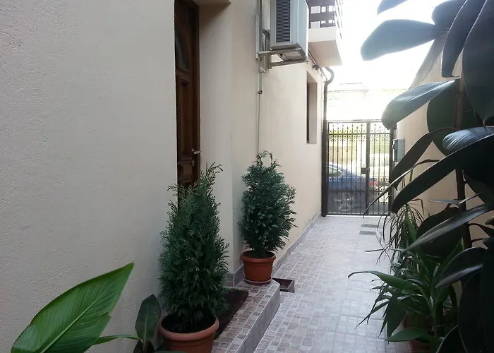 Banu Manta Βουκουρέστι