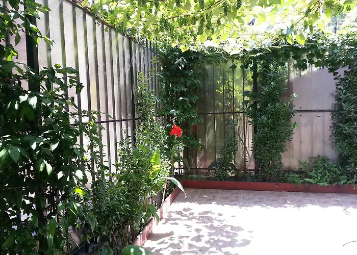 Διαμέρισμα Banu Manta