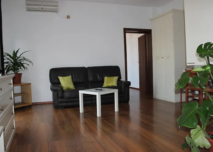 Apartament Banu Manta *
